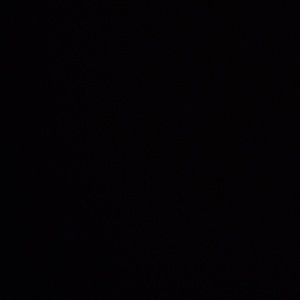 Meet your Posher, Adria